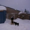 Dec 21 snow storm damage 003